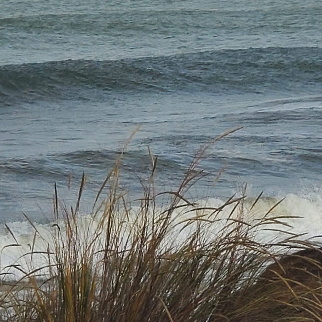 Zona Surfera